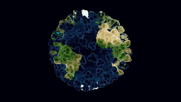 Covid-19 Corona Earth Delta Lambda Plus Variant